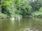IMG 4463